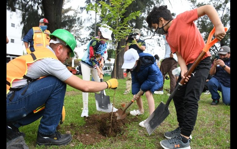Día del Árbol: Extra Guadalajara y Zapopan conmemoran con la plantación de  12 especies | El Informador