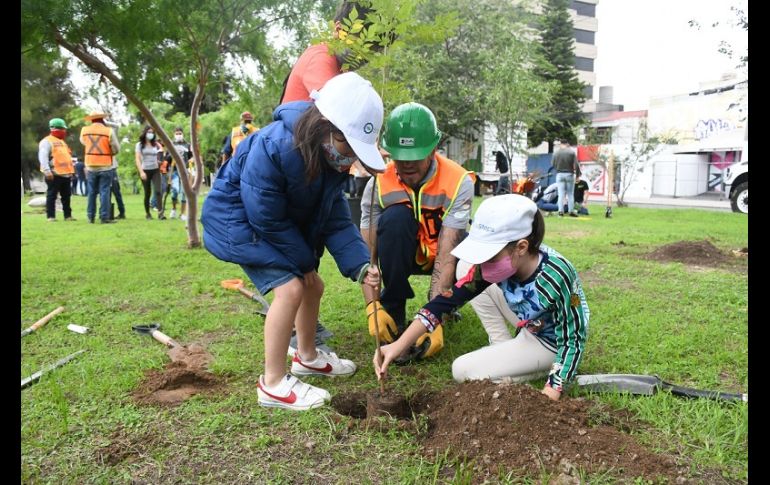 Extra A.C. reporta un récord del 90% de supervivencia de los árboles donados a la ciudadanía en los últimos 15 años. ESPECIAL/Ayuntamiento de Zapopan