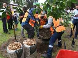 Extra A.C. reporta un récord del 90% de supervivencia de los árboles donados a la ciudadanía en los últimos 15 años. ESPECIAL/Ayuntamiento de Zapopan