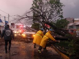 Policía y Bomberos también informó de la caída de al menos un árbol. EL INFORMADOR/Archivo