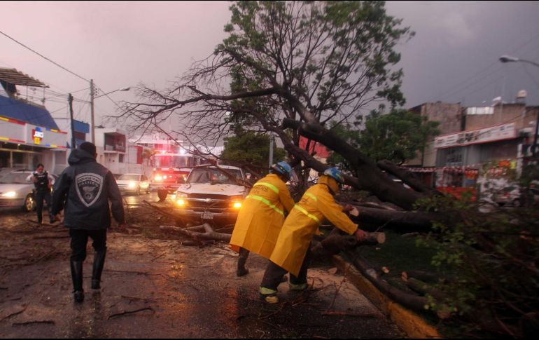 Policía y Bomberos también informó de la caída de al menos un árbol. EL INFORMADOR/Archivo