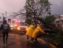 Policía y Bomberos también informó de la caída de al menos un árbol. EL INFORMADOR/Archivo