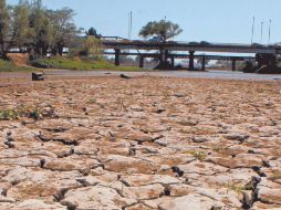 En el país, al cierre de junio, el porcentaje del área en condiciones de sequía fue de 43.19 %, 24.22 puntos menos que lo cuantificado al 15 de junio. EL ECONOMISTA