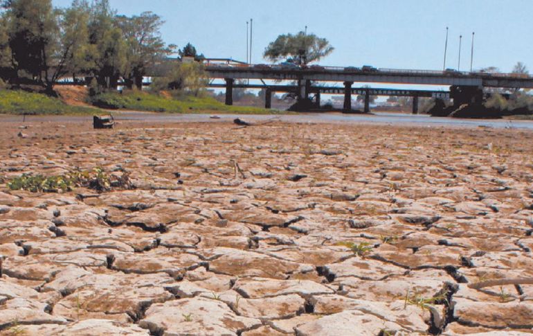 En el país, al cierre de junio, el porcentaje del área en condiciones de sequía fue de 43.19 %, 24.22 puntos menos que lo cuantificado al 15 de junio. EL ECONOMISTA