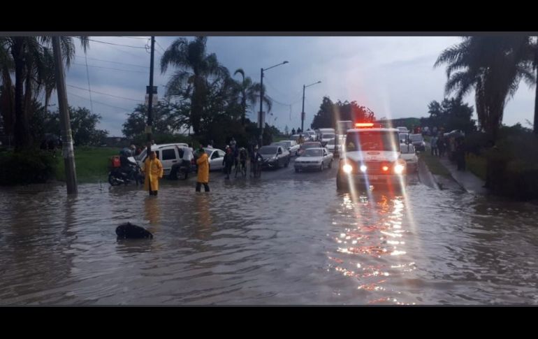 Diversas corporaciones de bomberos atendieron los reportes de este sábado. ESPECIAL