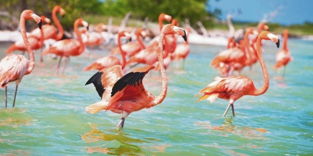 Yucat&aacute;n, aventura entre olas