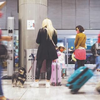 Refuerzan vigilancia en aeropuerto tapatío