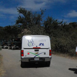 Hallan el cuerpo de un hombre mayor en Tlajomulco