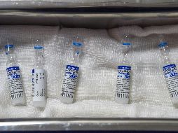 SPUTNIK V. La meta es producir 300 millones de vacunas anuales. AFP