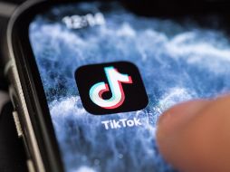 WhatsApp es una de las aplicaciones favoritas es por el número de cosas extra que se pueden agregar a los estados como los videos que compartes en TikTok (foto). EFE / ARCHIVO