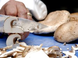 En México hay aproximadamente 300 especies diferentes de hongos comestibles. EFE/ARCHIVO