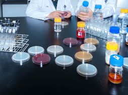 El uso de probióticos, prebióticos y zinc tienen un probado efecto positivo sobre el sistema inmune, la microbiota intestinal y la función de barrera del intestino. NTX/ARCHIVO