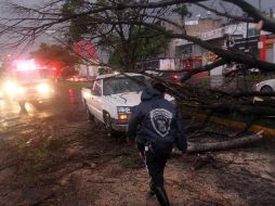 EL INFORMADOR/ARCHIVO