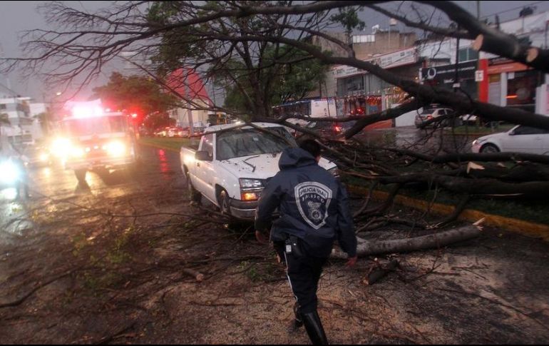 EL INFORMADOR/ARCHIVO