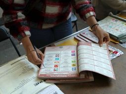 Los montos que entregó el Partido Verde a los 