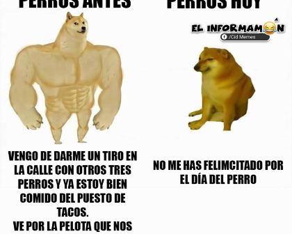 Día Mundial del Perro