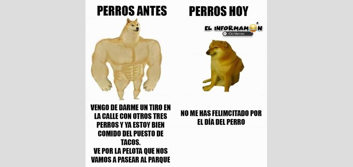 Día Mundial del Perro