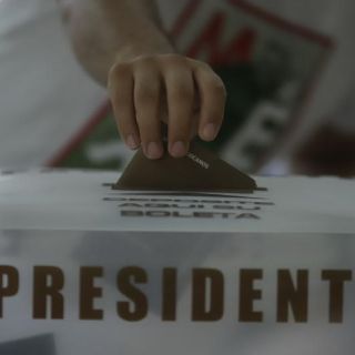 Pago a influencers no salió de las arcas: dirigencia del Partido Verde