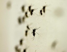 En total, en los que va del año en Jalisco se han confirmado 65 casos de dengue. NTX/ARCHIVO