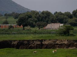 En videos que circulan en la red se observan formas raras que se sitúan sobre la vegetación en los campos de siembra, sin que se logre definir con exactitud qué simulan. AP / ARCHIVO