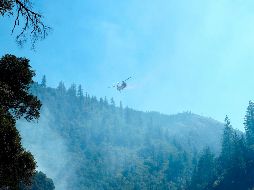 Según informó el Servicio Forestal de Estados Unidos, el fuego de 
