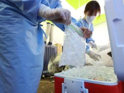 Jalisco se ubica en el tercer puesto a nivel nacional con más casos activos de COVID-19. EFE/YONHAP