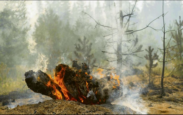 El humo de los incendios forestales está compuesto por una mezcla de gases producidos por la combustión de la vegetación y pequeñas partículas en suspensión. APF / ARCHIVO