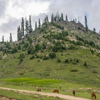 El impactante video del deslizamiento de una montaña en India