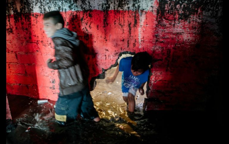 EL INFORMADOR / G. Gallo