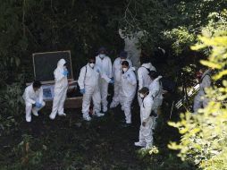 Hasta el pasado 30 de junio, se habían documentado al menos 11 fosas clandestinas en Jalisco. EFE/ARCHIVO