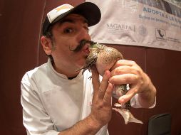 México será su destino para esta aventura gastronómica. NTX/ ARCHIVO