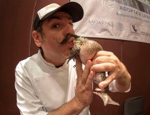 México será su destino para esta aventura gastronómica. NTX/ ARCHIVO