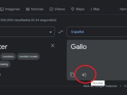 Es común que los usuarios en Internet se diviertan con la herramienta de Google. ESPECIAL / GOOGLE