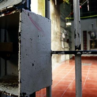 Diputado de Morena se le pasan las copas y termina en "El Torito" en la CDMX