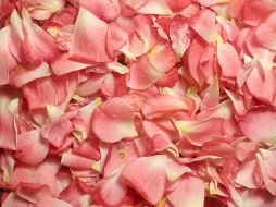 UNSPLASH/ REBECCA MATTHEWS