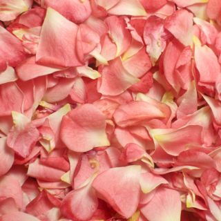 Estos son los beneficios del "agua de rosas", el tónico facial más popular