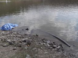 Al lugar acudió un agente del Ministerio Público de la Fiscalía del Estado, y peritos del Instituto Jalisciense de Ciencias Forenses. EL INFORMADOR/ARCHIVO