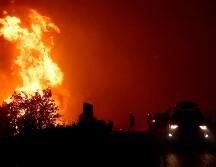 Se han presentado un total de 92 incendios forestales. EFE/ Y. Kolesidis