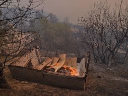 Los incendios declarados en la región de Cabilia se ven agravados por la ola de calor que sufre la región. AFP/R. Kramdi