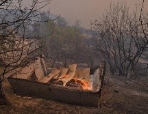 Los incendios declarados en la región de Cabilia se ven agravados por la ola de calor que sufre la región. AFP/R. Kramdi