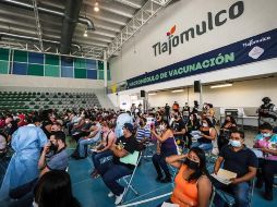 Son más de 100 voluntarios que coordinan las filas y perifonean para guardar el orden en el recinto; asimismo, dan atención e información a los ciudadanos. ESPECIAL