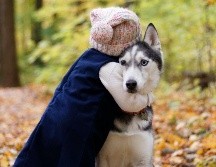 ESPECIAL/Photo by __drz__ on Unsplash.