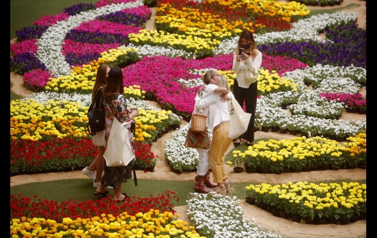 Cientos de personas acudieron a admirar la obra y tomarse fotografías. EFE/L. Noriega