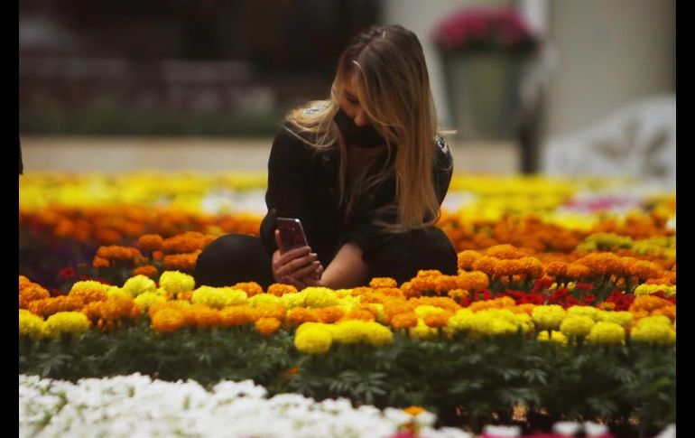 Cientos de personas acudieron a admirar la obra y tomarse fotografías. EFE/L. Noriega