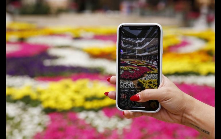 Cientos de personas acudieron a admirar la obra y tomarse fotografías. EFE/L. Noriega