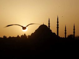 Los premios de mejor jugadora por demarcación (portera, defensora, mediocampista y delantera) de la Liga de Campeones Femenina 2020-21 se entregarán el próximo 26 de agosto en Estambul. EFE / ARCHIVO