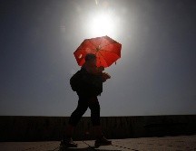 El mes de julio de este año fue 0.01°C más alto que el récord anterior establecido en julio de 2016, según NOAA. EFE/ARCHIVO