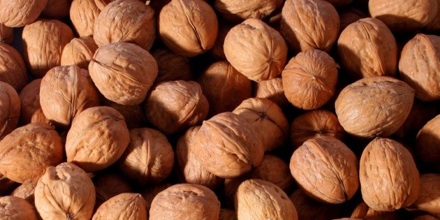 &iquest;Por qu&eacute; es tan cara la nuez de castilla?
