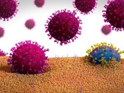 Ilustración de una forma mutada de un coronavirus (azul) que sale de una célula. SCIENCE PHOTO LIBRARY