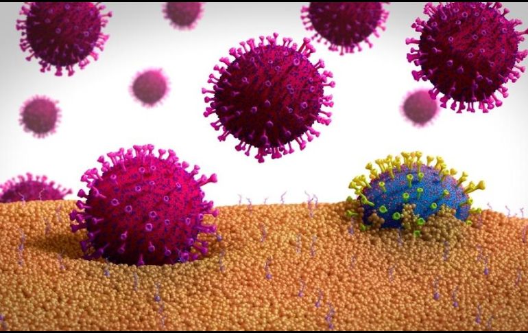 Ilustración de una forma mutada de un coronavirus (azul) que sale de una célula. SCIENCE PHOTO LIBRARY